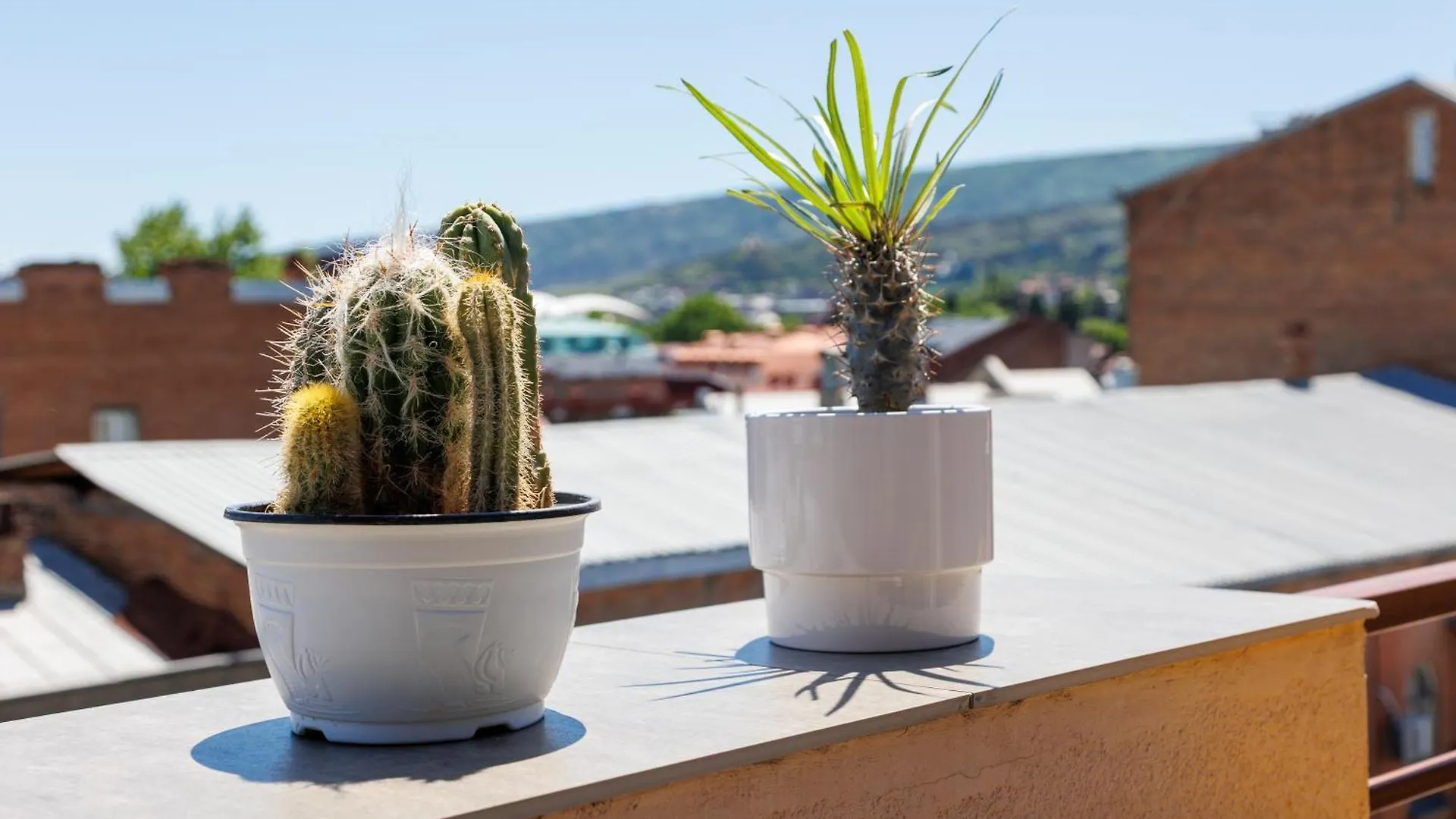 Charming Apt With Balcony Tiflis 0*,